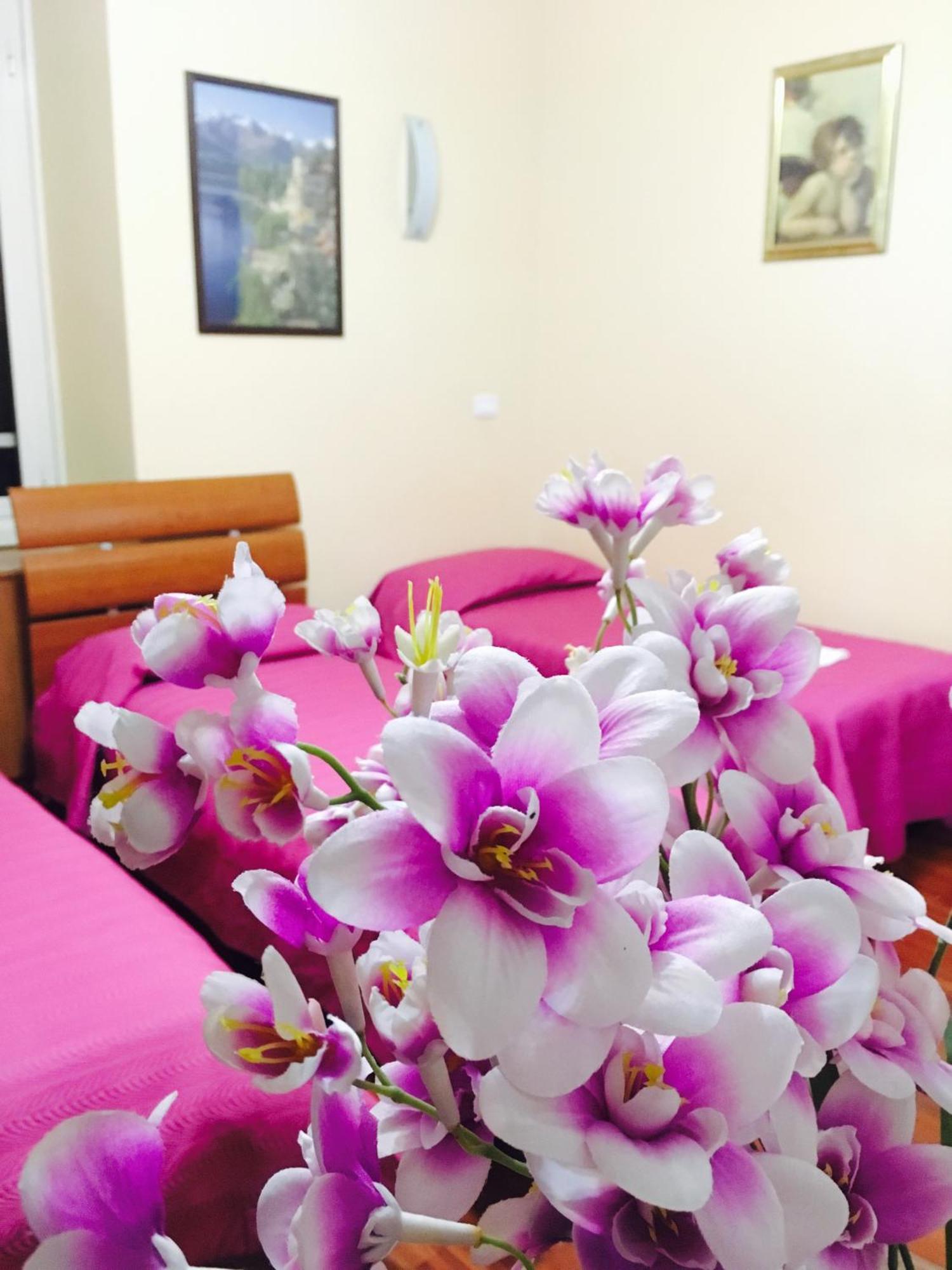Zhihua Guest House - Rome, Rome